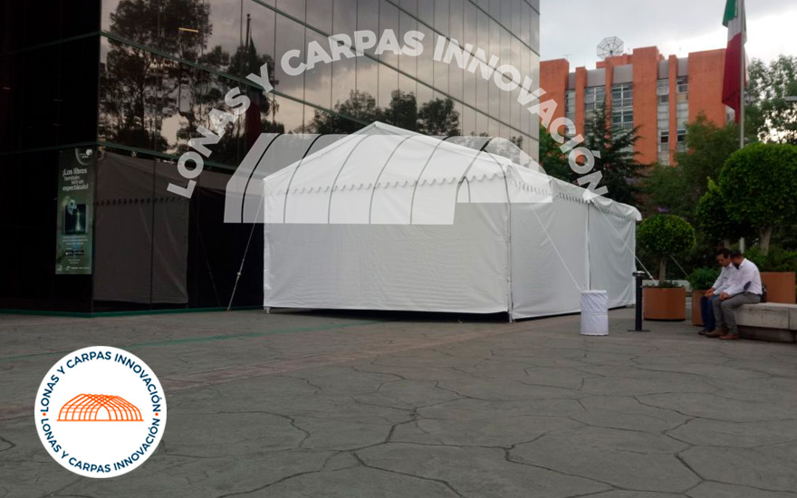 Historia de las Carpas