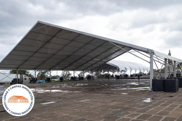 perfil-lateral-carpa